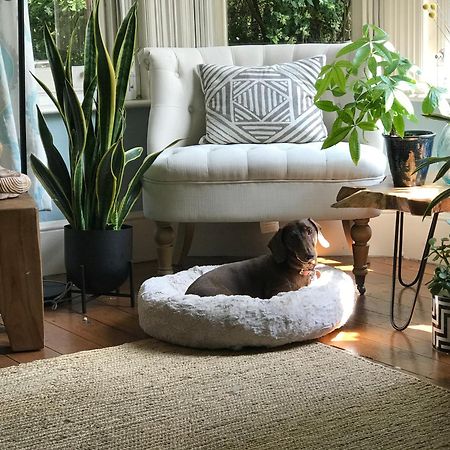 Dawn And Dudley The Sausage Dog'S Parkside Home London Kültér fotó