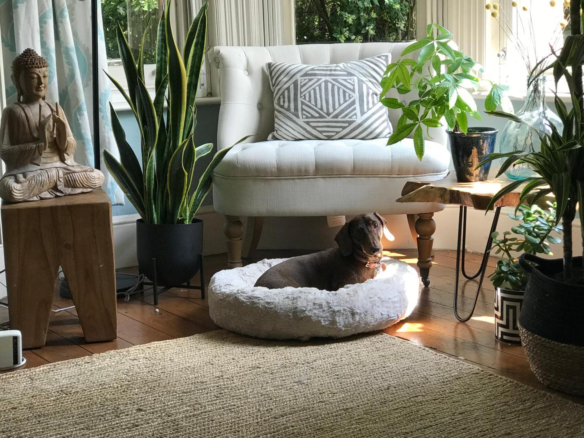 Dawn And Dudley The Sausage Dog'S Parkside Home London Kültér fotó